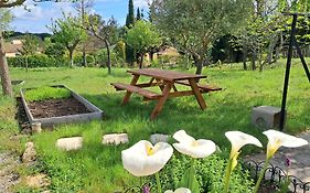 My Quiet Place Near Carcassonne