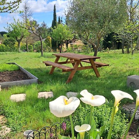 My Quiet Place Near Carcassonne Extérieur photo